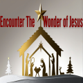 Encounter the Wonder of Jesus